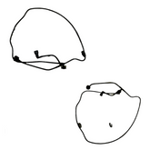 Overflow Hose Pipe 32222616 For Volvo XC40 Tag-H-487